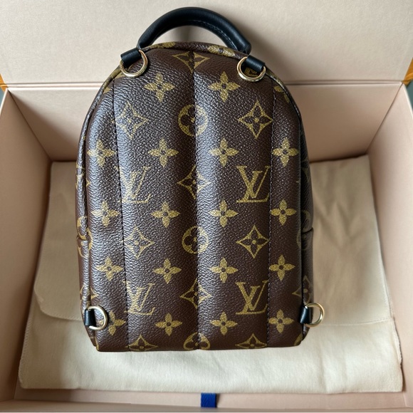 Louis Vuitton Palm Springs Mini - Picture 4 of 9